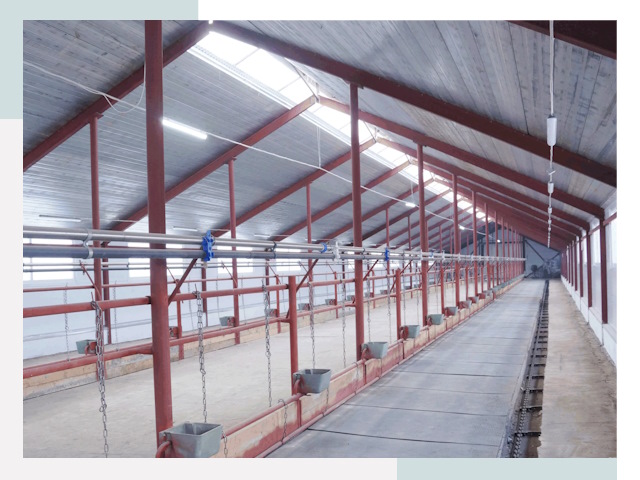 Строительство коровников в Кулебаках от 618 руб.