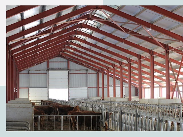 Строительство коровников в Кулебаках