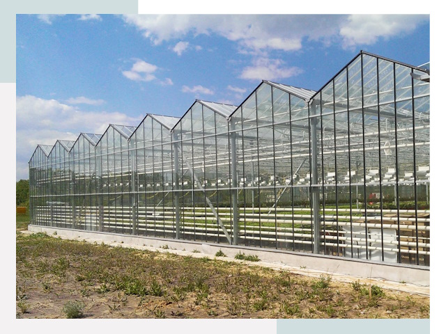 Строительство теплиц в Кулебаки от 618 руб. за м²
